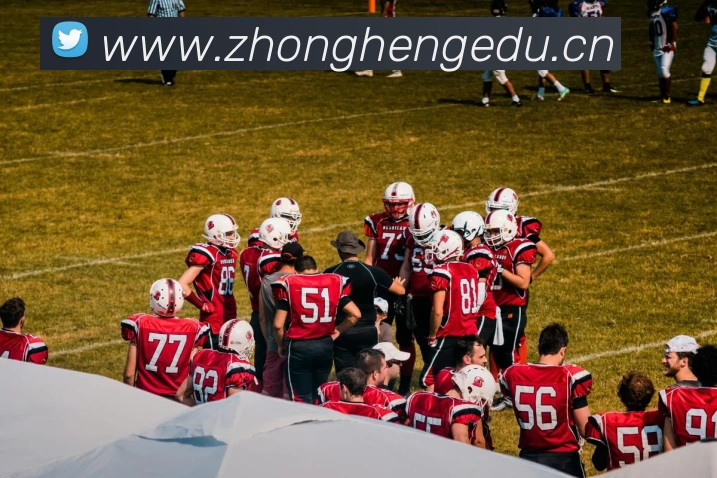 App Interface Preview